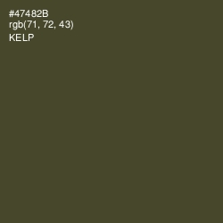 #47482B - Kelp Color Image