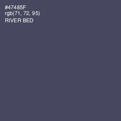 #47485F - River Bed Color Image