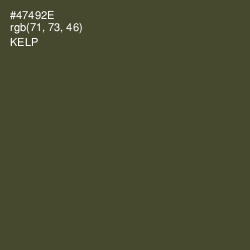 #47492E - Kelp Color Image