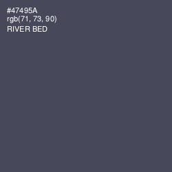 #47495A - River Bed Color Image