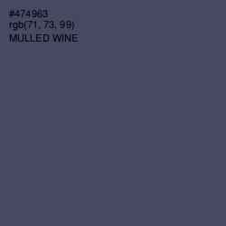 #474963 - Mulled Wine Color Image