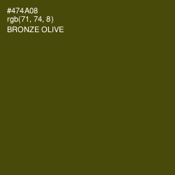 #474A08 - Bronze Olive Color Image