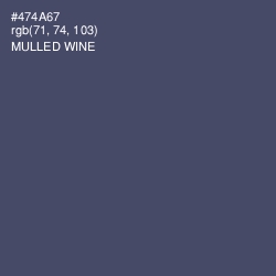 #474A67 - Mulled Wine Color Image