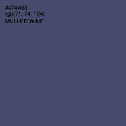 #474A68 - Mulled Wine Color Image