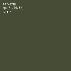#474C36 - Kelp Color Image