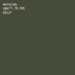 #474C3A - Kelp Color Image