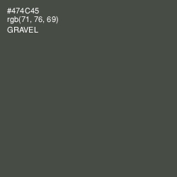 #474C45 - Gravel Color Image