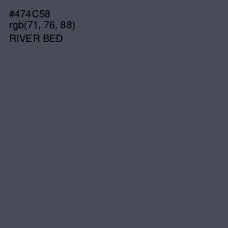 #474C58 - River Bed Color Image