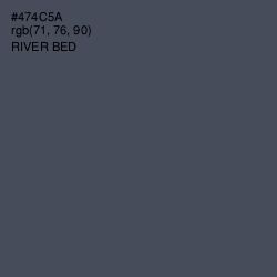 #474C5A - River Bed Color Image