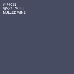 #474C62 - Mulled Wine Color Image