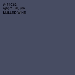 #474C62 - Mulled Wine Color Image