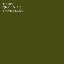 #474D12 - Bronze Olive Color Image