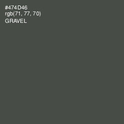 #474D46 - Gravel Color Image