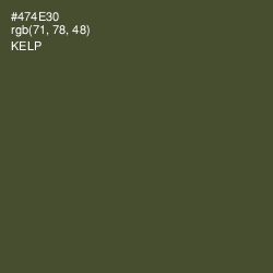 #474E30 - Kelp Color Image