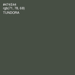 #474E44 - Tundora Color Image