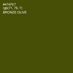 #474F07 - Bronze Olive Color Image