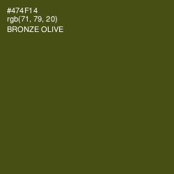 #474F14 - Bronze Olive Color Image
