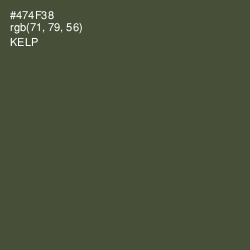 #474F38 - Kelp Color Image