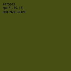 #475012 - Bronze Olive Color Image