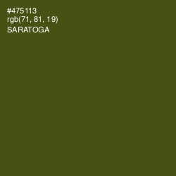 #475113 - Saratoga Color Image