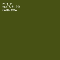 #475114 - Saratoga Color Image