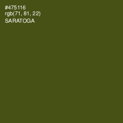 #475116 - Saratoga Color Image