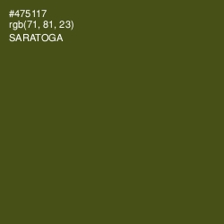 #475117 - Saratoga Color Image