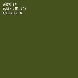 #47511F - Saratoga Color Image