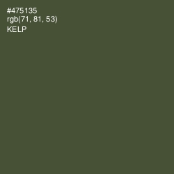 #475135 - Kelp Color Image