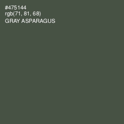 #475144 - Gray Asparagus Color Image