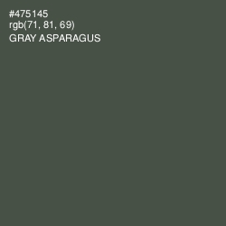 #475145 - Gray Asparagus Color Image