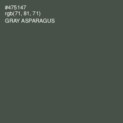 #475147 - Gray Asparagus Color Image