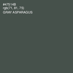 #47514B - Gray Asparagus Color Image