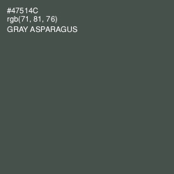 #47514C - Gray Asparagus Color Image