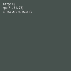 #47514E - Gray Asparagus Color Image