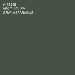 #475245 - Gray Asparagus Color Image