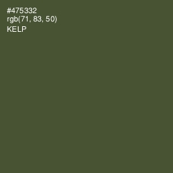 #475332 - Kelp Color Image