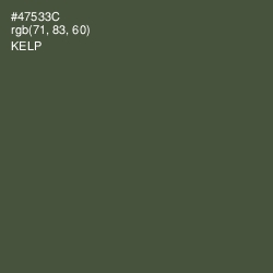 #47533C - Kelp Color Image