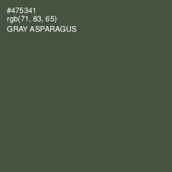 #475341 - Gray Asparagus Color Image