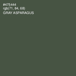 #475444 - Gray Asparagus Color Image