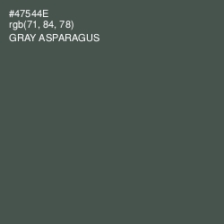 #47544E - Gray Asparagus Color Image