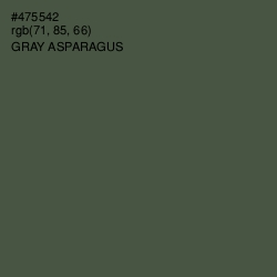 #475542 - Gray Asparagus Color Image