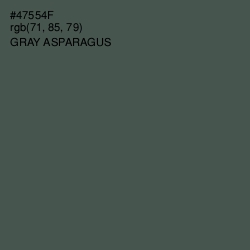 #47554F - Gray Asparagus Color Image