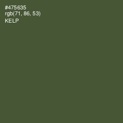 #475635 - Kelp Color Image