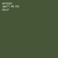 #475637 - Kelp Color Image