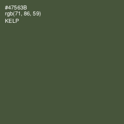 #47563B - Kelp Color Image