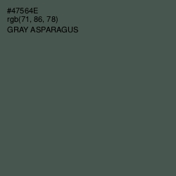 #47564E - Gray Asparagus Color Image