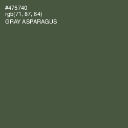 #475740 - Gray Asparagus Color Image