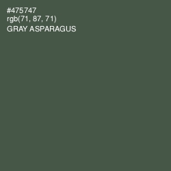 #475747 - Gray Asparagus Color Image