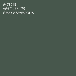 #47574B - Gray Asparagus Color Image